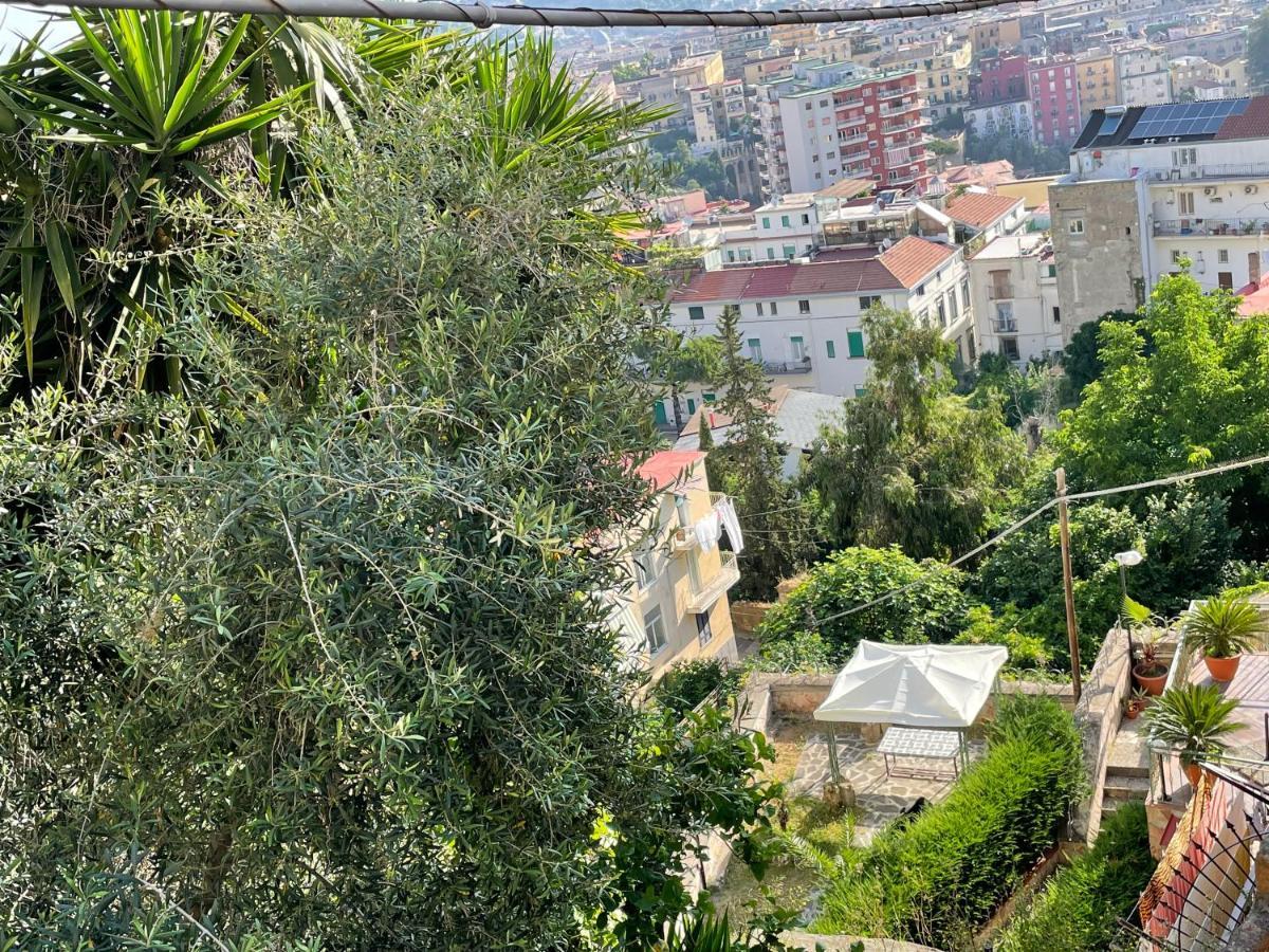 La Finestra Nel Giardino Affittacamere